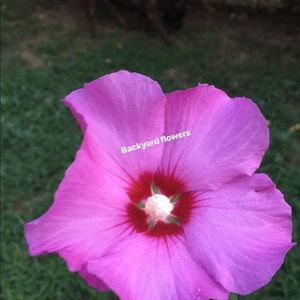 Meet your Posher, Joann